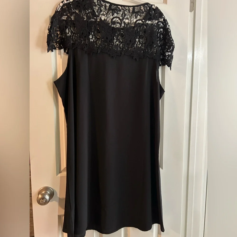 Elegant Black Lace Overlay Dress - Picture 3 of 3